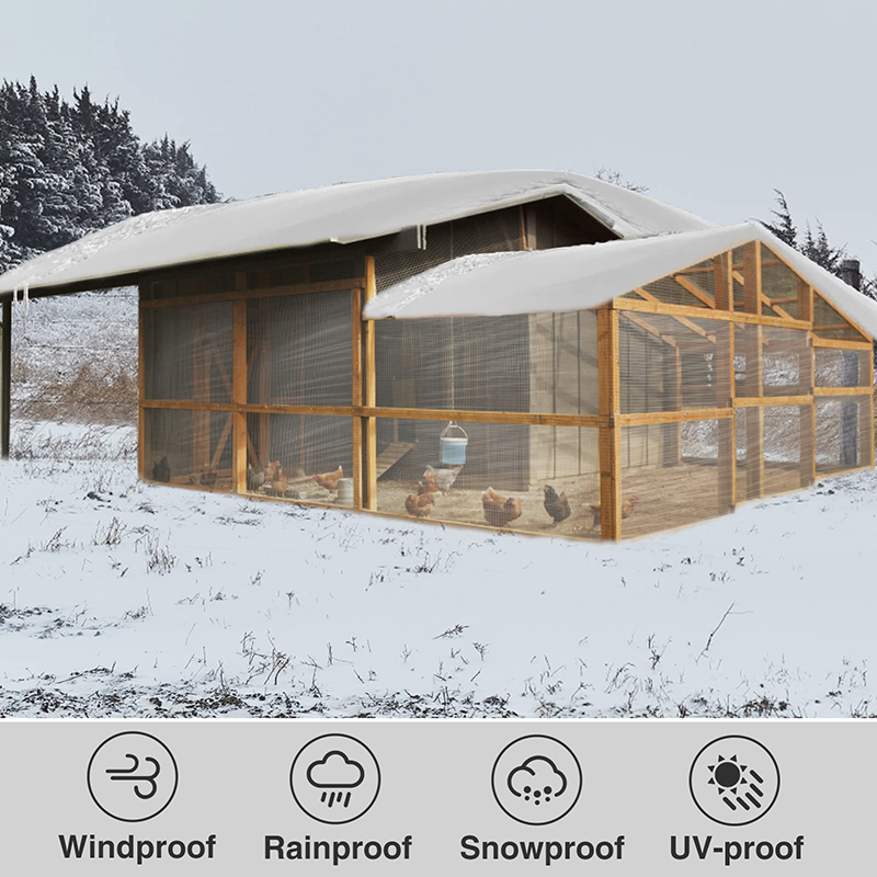 Transparent Tarpaulin 2*3 4 5  - Waterproof Tarp Shelter ulasan dan harga