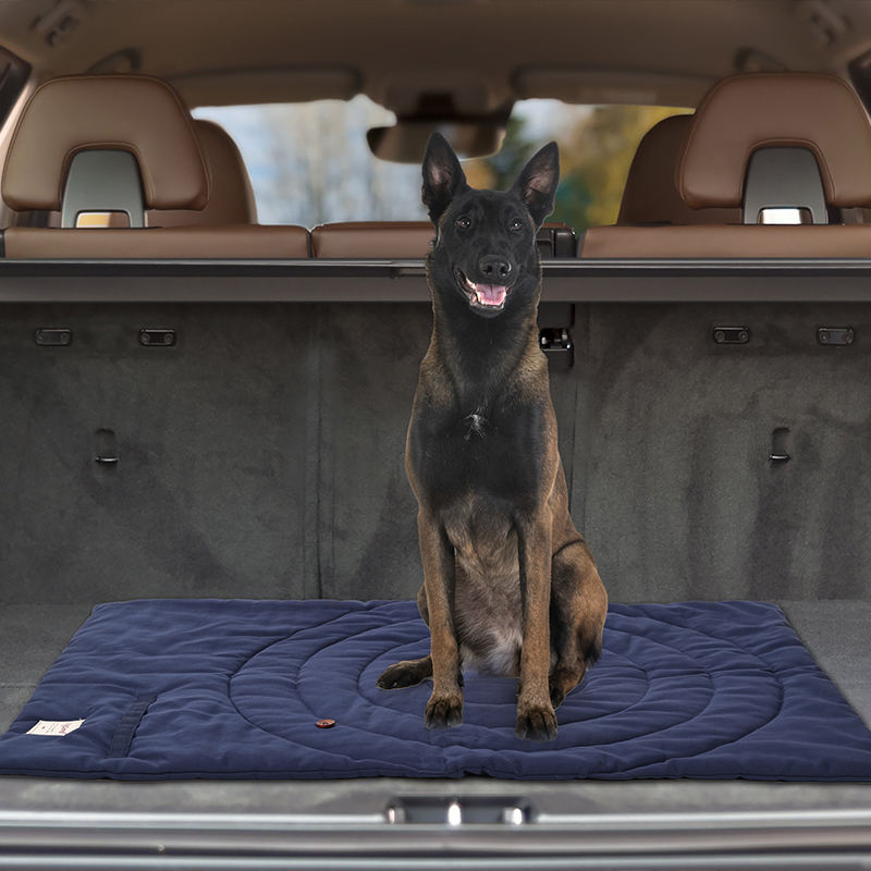 Portable Pet Mat Foldable Pet  - Outdoor Camping Rug ulasan dan harga